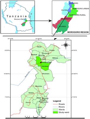 Rice Yield and Nitrogen Use Efficiency With System of Rice Intensification and Conventional Management Practices in Mkindo Irrigation Scheme, Tanzania